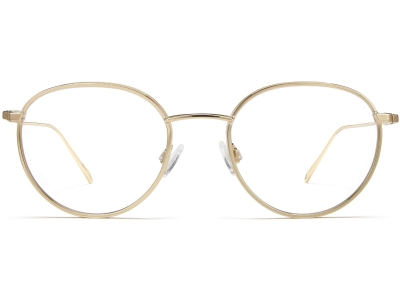 Front View Image of Darin Eyeglasses Collection, by Warby Parker Brand, in Polished Gold Color