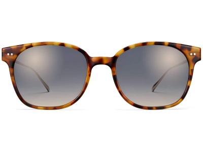 Front View Image of Tilden Sunglasses Collection, by Warby Parker Brand, in Acorn Tortoise with Polished Gold Color