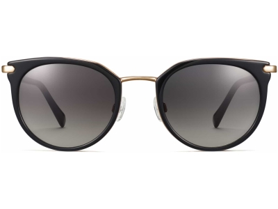 Front View Image of Whittier Sunglasses Collection, by Warby Parker Brand, in Jet Black with Gold Color