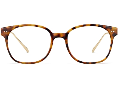 Front View Image of Tilden Eyeglasses Collection, by Warby Parker Brand, in Acorn Tortoise with Polished Gold Color
