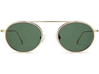 Front View Image of Corwin Sunglasses Collection, by Warby Parker Brand, in Polished Gold with Whiskey Tortoise Matte Color