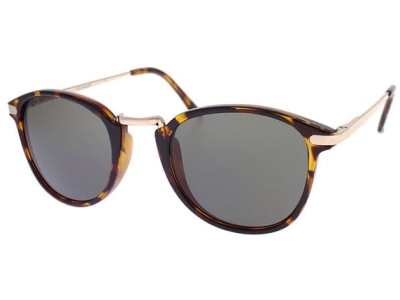 Castro in Tortoise